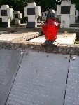 Leon Wasiak upami�tniony na jednej z dwudziestu sze�ciu zbiorczych imiennych tablic epitafijnych kwatery wojennej na cmentarzu parafialnym w I�owie. Stan z dn. 12 wrze�nia 2014 r. (fot. Zbigniew S�dzicki).