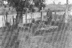 Mogi�a zbiorowa w ogrodzie Szpitala Powiatowego �w. J�zefa w Sochaczewie - miejsce pierwotnego poch�wku Tadeusza FAULHABERA (za: Kraszewski T., ks.,  CARITAS. 100 lat w s�u�bie Bogu i bli�nim, Paprotnia 2003, s. 18)