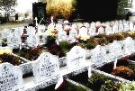 Wydzielona kwatera wojenna �o�nierzy Wojska Polskiego poleg�ych we wrze�niu 1939 r. - cm. rz-kat. w Modlnej. W�r�d poleg�ych upami�tnionych – Micha� Chomyszyn. Stan z dn. 01.11. 2011 r. [fot. Staszek S�omczy�ski "staahoo"(��d�)].