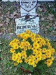 Plut. pchor. Stefan Uramowski upami�tniony na imiennej tabliczce epitafijnej na jednej z mogi� zbiorowych cmentarza wojennego w Granicy (fot. udost�pni�: Krzysztof Go�dzik).