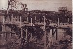 A. Ko�cielny z kolegami z KOP - budowa mostu w Wo�o�ynie w 1932 r.