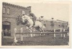Wac�aw Chojna jako podporucznik 4 pu�ku artylerii lekkiej na zawodach hippicznych, 1933 r. (fot. z archiwum rodzinnego, za: Lawacz-Sampanis A. M., Biografie powsta�c�w - major Wac�aw Chojna ps. "Horody�ski", oprac. M. Janaszek-Seydlitz, [w:] Strona internetowa Stowarzyszenia Pami�ci Powstania Warszawskiego 1944, http://www.sppw1944.org/biografie/chojna.html).