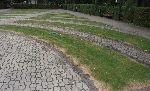 Miejsce spoczynku Ludwika Nadolnego w obr�bie kwatery wojennej na cmentarzu parafialnym w ��czycy, ul. Kaliska. Stan z dn. 8 wrze�nia 2011 r. (fot. Zbigniew Adamas).