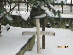 Brzozowy krzy� z zamocowanym he�mem stalowym przy mogile zbiorowej na cmentarzu parafialnym w �leszynie, miejscu spoczynku szer. Aleksego Koszara. Stan z dn. 17. 01. 2014 r. (fot. Gabriel S�dkowski).