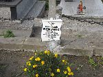 Gr�b ppor. Franciszka Nentwiga w rodzinnym obej�ciu grobowym na cm. parafialnym w Oporowie. Stan z dn. 26. IX. 2010 r. (fot. A. Nowi�ski).