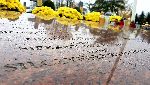W�adys�aw Silczy�ski upami�tniony na zbiorczej imiennej tablicy epitafijnej kwatery wojennej na cmentarzu parafialnym w Zakroczymiu, ul. Ojca Honorata Ko�mi�skiego (fot. udost�pni�: Jan Kot).