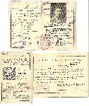 Pami�tki po Kazimierzu Masiaku: dow�d osobisty wydany 6 sierpnia 1934 r. przez So�ectwo Osiek; legitymacja odznaki pami�tkowej 16 dywizji Piechoty wydana 29 lipca 1933 r. w Grudzi�dzu przez dow�dc� dywizji; �wiadectwo Pa�stwowej Odznaki Sportowej wystawione 26 listopada 1934 r. przez Przewodnicz�cego Miejskiego Komitetu Wychowania Fizycznego i Przysposobienia Wojskowego w Toruniu (dok. ze zb. rodzinnych).