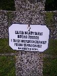Teodor Bucha upami�tniony na imiennej tabliczce epitafijnej na jednej z mogi� zbiorowych cmentarza wojennego w Rydwanie (Gu�ni). Stan z dn. 31 sierpnia 2012 r. (fot. B�a�ej Kucharski).
