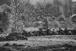 Walki nad Bzur� we wrze�niu 1939 r. odtworzone podczas widowiska historycznego pt. „Obroni� miasto!” w dniu 15 wrze�nia 2012 r. w Sochaczewie (fot. �cibor Wolda�ski).