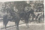 Ppor. Edward Lankamer w czasie s�u�by w 4 Pu�ku Artylerii Lekkiej w Inowroc�awiu, Inowroc�aw, �wi�to 3 Maja 1939 r. (fot. ze zb. rodzinnych).