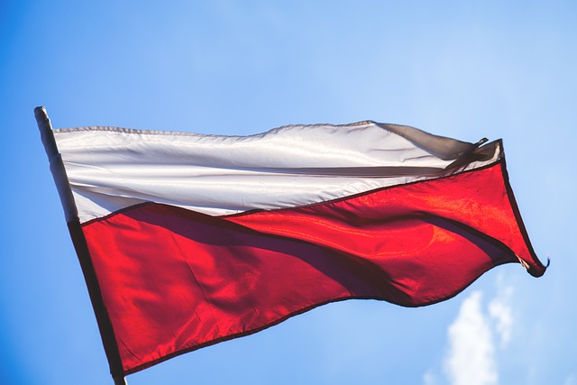 Narodowe �wi�to Niepodleg�o�ci (fot. freestocks-photos / Pixabay)