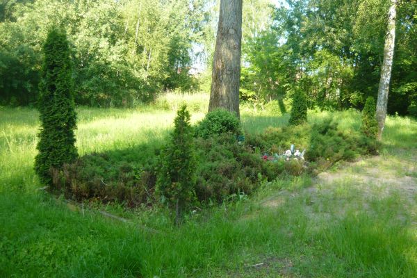 Miejsce pierwszego poch�wku 50 �o�nierzy Bydgoskiego Batalionu Obrony Narodowej w Boryszewie - fot. T. Karolak.