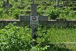Laski, cmentarz wojenny. Stan z dn. 05. 06. 2011 r. (fot. Krzysztof Bielawski / "Wirtualny Sztetl" - www.sztetl.org.pl).