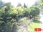 Pruszk�w, ul. Cmentarna, kwatera wojenna. Stan z dn. 28. 06. 2012 r. (fot. Tomasz Karolak).