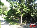 Pruszk�w, ul. Cmentarna, kwatera wojenna. Stan z dn. 28. 06. 2012 r. (fot. Tomasz Karolak).
