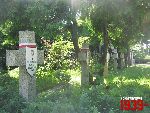 Pruszk�w, ul. Cmentarna, kwatera wojenna. Stan z dn. 28. 06. 2012 r. (fot. Tomasz Karolak).