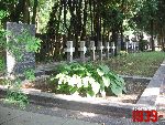 B�onie, ul. Towarowa, mogi�a zbiorowa. Stan z dn. 05. 07. 2012 r. (fot. Tomasz Karolak).
