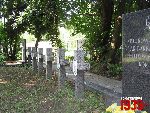 B�onie, ul. Towarowa, mogi�a zbiorowa. Stan z dn. 05. 07. 2012 r. (fot. Tomasz Karolak).