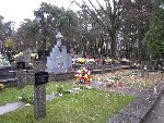 Domaniewice, kwatera wojenna (fot. A. Nowi�ski)