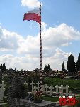 Borz�cin Du�y, kwatera wojenna. Stan z dn. 31. 08. 2011 r. (fot. Tomasz Karolak).