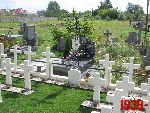 Borz�cin Du�y, kwatera wojenna. Stan z dn. 31. 08. 2011 r. (fot. Tomasz Karolak).