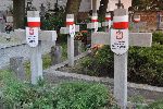 Brwin�w, ul. Powsta�c�w Warszawy, kwatera wojenna (fot. K. Bielawski / "Wirtualny Sztetl" - www.sztetl.org.pl).