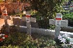 Brwin�w, ul. Powsta�c�w Warszawy, kwatera wojenna (fot. K. Bielawski / "Wirtualny Sztetl" - www.sztetl.org.pl).