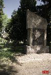 fot. �. Wojtczak