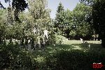 fot. �. Wojtczak