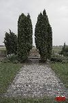 Jan�w, mogi�a zbiorowa. Stan z dn. 30. 07. 2010 r. (fot. �ukasz Wojtczak).