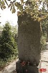 Szyman�w, kwatera wojenna (fot. �. Wojtczak)