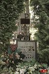 Paw�owice, kwatera wojenna (fot. �. Wojtczak)