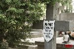 Paw�owice, kwatera wojenna (fot. �. Wojtczak)