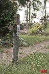 Paw�owice, kwatera wojenna (fot. �. Wojtczak)