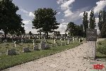 Sochaczew - Trojan�w, cmentarz wojenny (fot. �. Wojtczak)