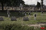 Sochaczew - Trojan�w, cmentarz wojenny (fot. �. Wojtczak)