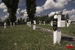 Sochaczew - Trojan�w, cmentarz wojenny (fot. �. Wojtczak)