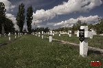 Sochaczew - Trojan�w, cmentarz wojenny (fot. �. Wojtczak)