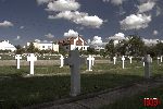 Sochaczew - Trojan�w, cmentarz wojenny (fot. �. Wojtczak)