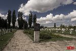 Sochaczew - Trojan�w, cmentarz wojenny (fot. �. Wojtczak)