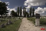 Sochaczew - Trojan�w, cmentarz wojenny (fot. �. Wojtczak)