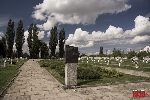 Sochaczew - Trojan�w, cmentarz wojenny (fot. �. Wojtczak)