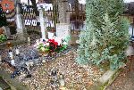 �leszyn, mogi�a zbiorowa. Stan z kwietnia 2010 r. (fot. Krzysztof Zadro�ny / www.tradytor.pl).