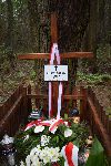 Kromn�w, mogi�a indywidualna. Stan z dn. 10 wrze�nia 2017 r. (fot. Marta Przygoda-Stelmach - Stowarzyszenie "Konfraternia �w. Rocha").