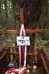 Kromn�w, mogi�a indywidualna. Stan z dn. 10 wrze�nia 2017 r. (fot. Marta Przygoda-Stelmach - Stowarzyszenie "Konfraternia �w. Rocha").