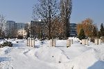 Warszawa, ul. Wa�brzyska, kwatera wojenna. Stan z dn. 21. 02. 2010 r. (fot. Krzysztof Bielawski - www.kirkuty.xip.pl).