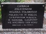 Dobra, mogi�a zbiorowa. Stan z dn. 23. 08. 2011 r. (fot. Zbigniew Adamas).