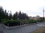 Stryk�w, ul. Cmentarna, mogi�a zbiorowa. Stan z dn. 31. 10. 2011 r. (fot. Zbigniew Adamas).