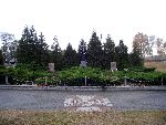 Stryk�w, ul. Cmentarna, mogi�a zbiorowa. Stan z dn. 31. 10. 2011 r. (fot. Zbigniew Adamas).