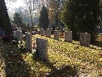 ��d�, ul. Wojska Polskiego, kwatera wojenna. Stan z dn. 03. 11. 2011 r. (fot. Zbigniew Adamas).